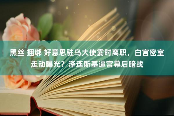 黑丝 捆绑 好意思驻乌大使霎时离职，白宫密室走动曝光？泽连斯基逼宫幕后暗战