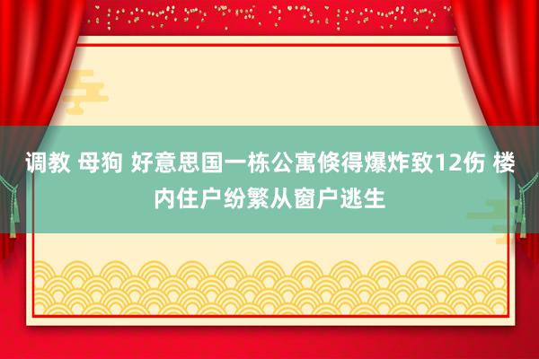 调教 母狗 好意思国一栋公寓倏得爆炸致12伤 楼内住户纷繁从窗户逃生