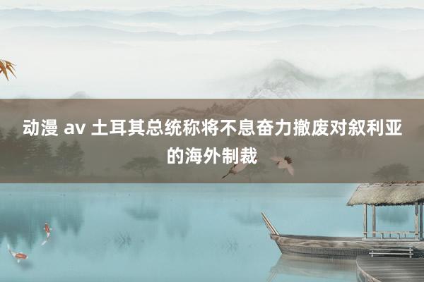 动漫 av 土耳其总统称将不息奋力撤废对叙利亚的海外制裁