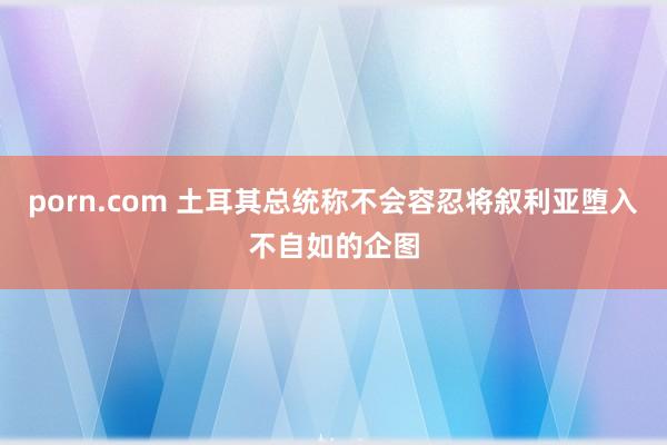 porn.com 土耳其总统称不会容忍将叙利亚堕入不自如的企图