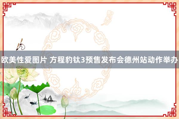 欧美性爱图片 方程豹钛3预售发布会德州站动作举办