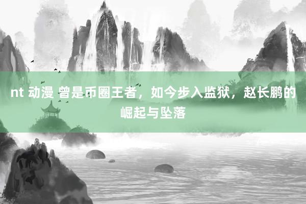 nt 动漫 曾是币圈王者，如今步入监狱，赵长鹏的崛起与坠落