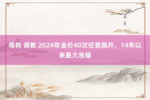 母狗 调教 2024年金价40次任意飙升，14年以来最大涨幅