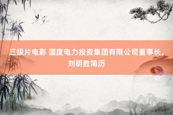 三级片电影 国度电力投资集团有限公司董事长，刘明胜简历