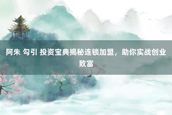 阿朱 勾引 投资宝典揭秘连锁加盟，助你实战创业致富