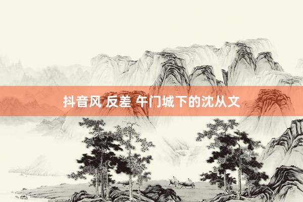 抖音风 反差 午门城下的沈从文