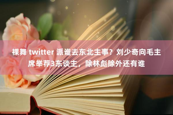 裸舞 twitter 派谁去东北主事？刘少奇向毛主席举荐3东谈主，除林彪除外还有谁