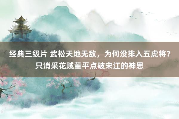 经典三级片 武松天地无敌，为何没排入五虎将？只消采花贼董平点破宋江的神思