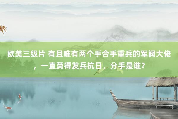 欧美三级片 有且唯有两个手合手重兵的军阀大佬，一直莫得发兵抗日，分手是谁？