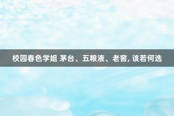 校园春色学姐 茅台、五粮液、老窖, 该若何选