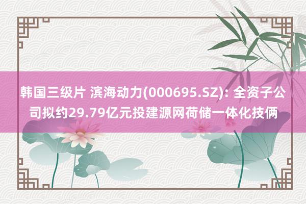 韩国三级片 滨海动力(000695.SZ): 全资子公司拟约29.79亿元投建源网荷储一体化技俩