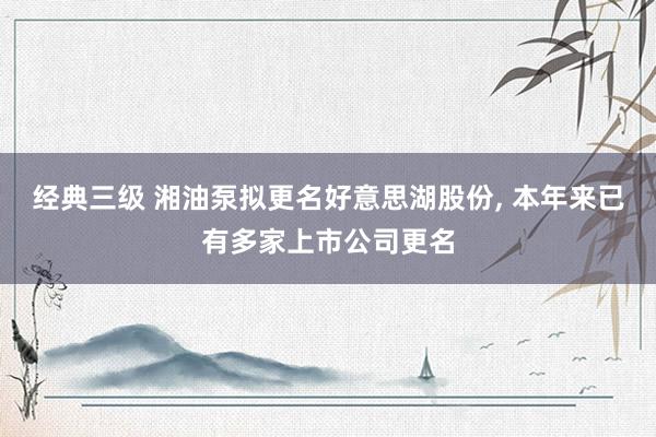 经典三级 湘油泵拟更名好意思湖股份, 本年来已有多家上市公司更名
