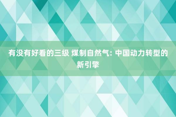 有没有好看的三级 煤制自然气: 中国动力转型的新引擎