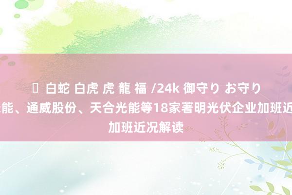 ✨白蛇 白虎 虎 龍 福 /24k 御守り お守り 隆基绿能、通威股份、天合光能等18家著明光伏企业