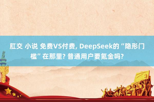 肛交 小说 免费VS付费, DeepSeek的“隐形门槛”在那里? 普通用户要氪金吗?