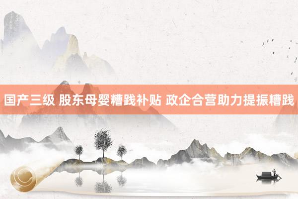 国产三级 股东母婴糟践补贴 政企合营助力提振糟践