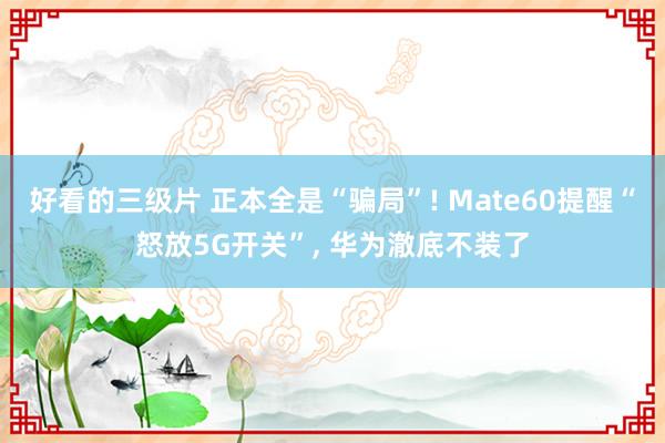 好看的三级片 正本全是“骗局”! Mate60提醒“怒放5G开关”, 华为澈底不装了