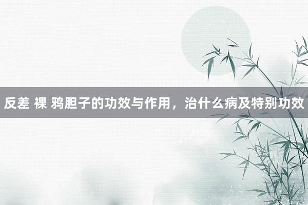 反差 裸 鸦胆子的功效与作用，治什么病及特别功效